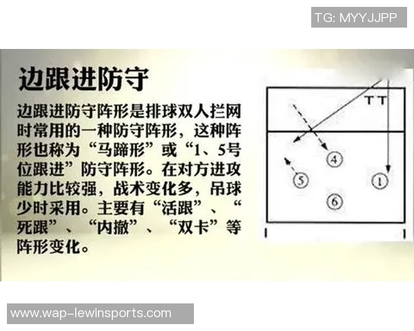 杭州排球队反击战术分析与得失总结探讨