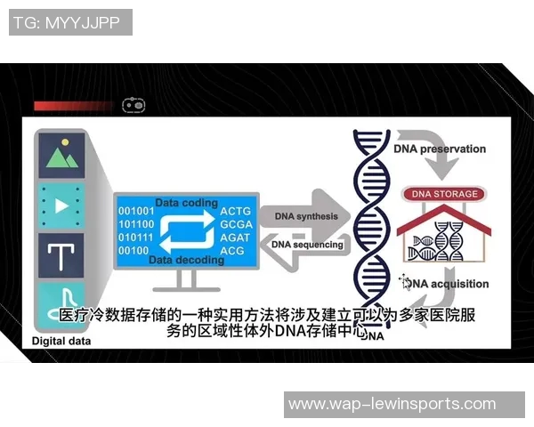 杨强专访揭秘排球成功秘诀与未来发展方向实时数据